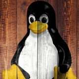 Linux 6.12 potrebbe supportare Intel Xe2 Lunar Lake e Battlemage