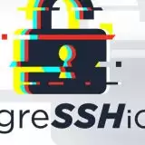 regreSSHion: milioni di server OpenSSH in pericolo