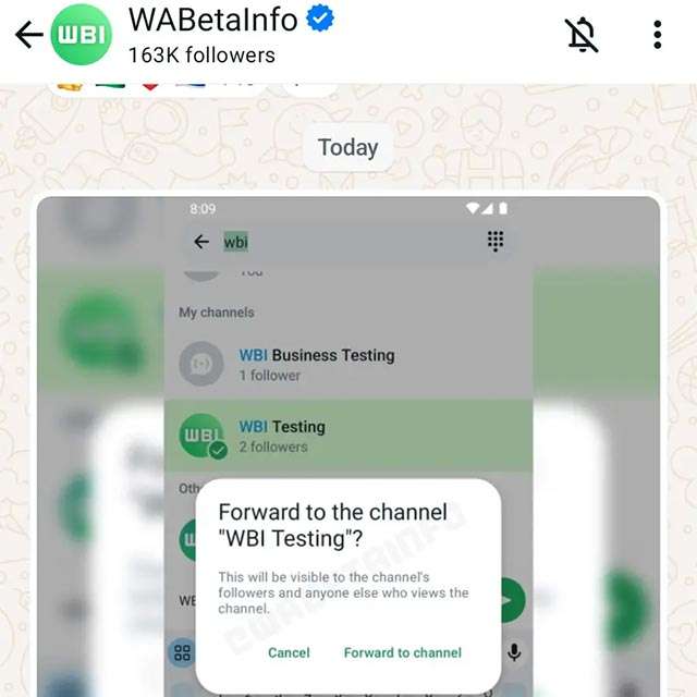 Le spunte blu di WhatsApp per i canali e i business verificati