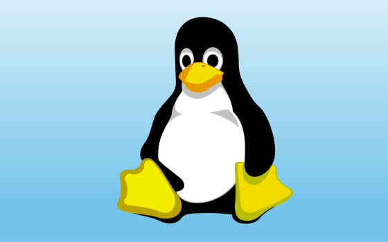 Linux 6.11-rc5: rilasciato in anticipo con correzioni Bcachefs