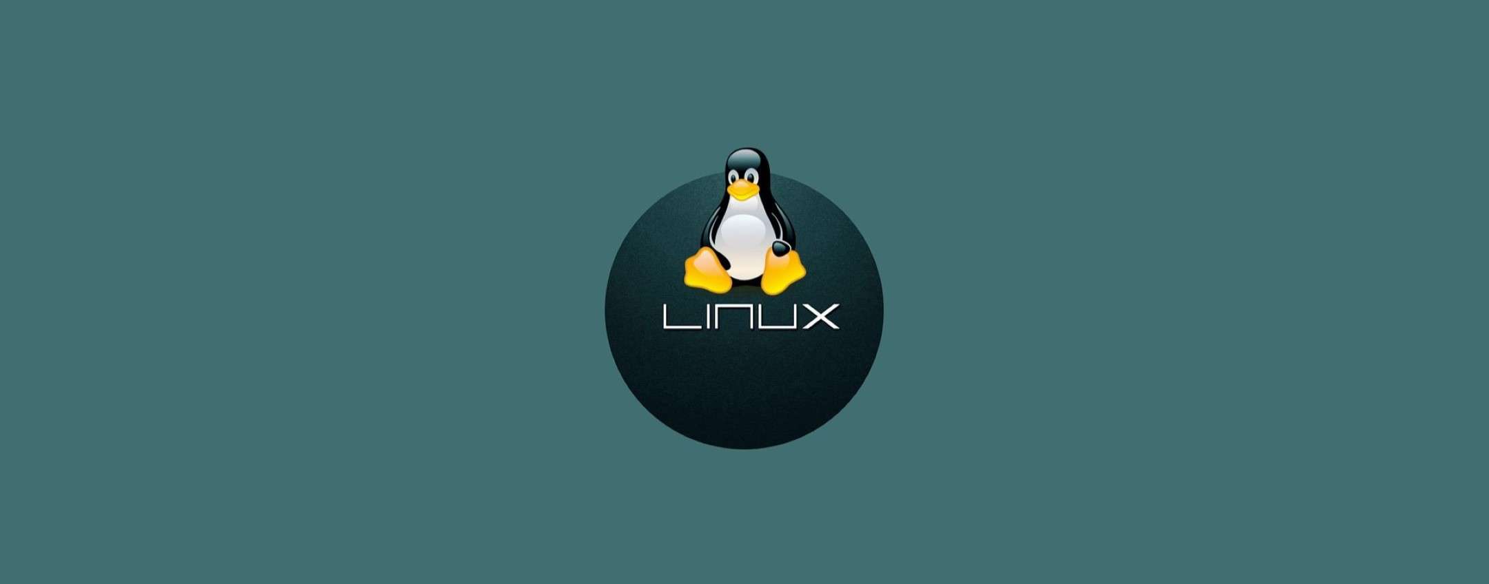 Linux 6.9: il kernel ha raggiunto la fine del ciclo di vita