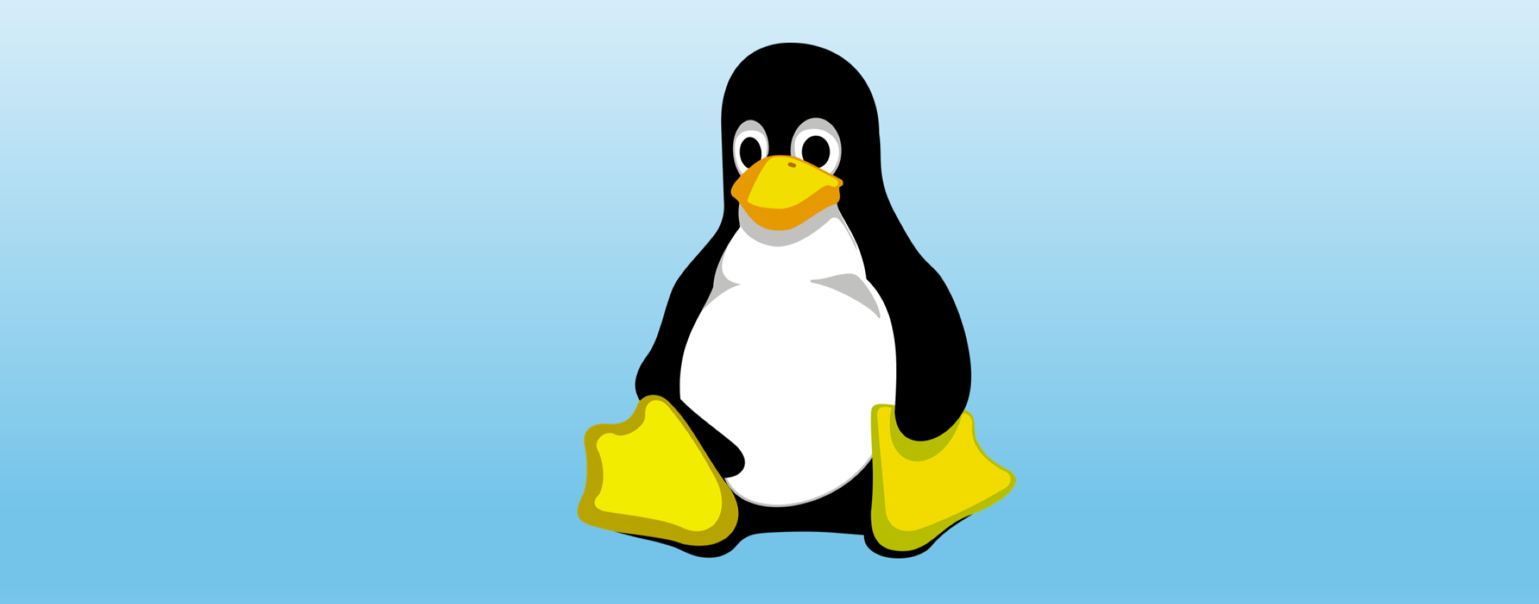 Linux 6.11-rc5: rilasciato in anticipo con correzioni Bcachefs