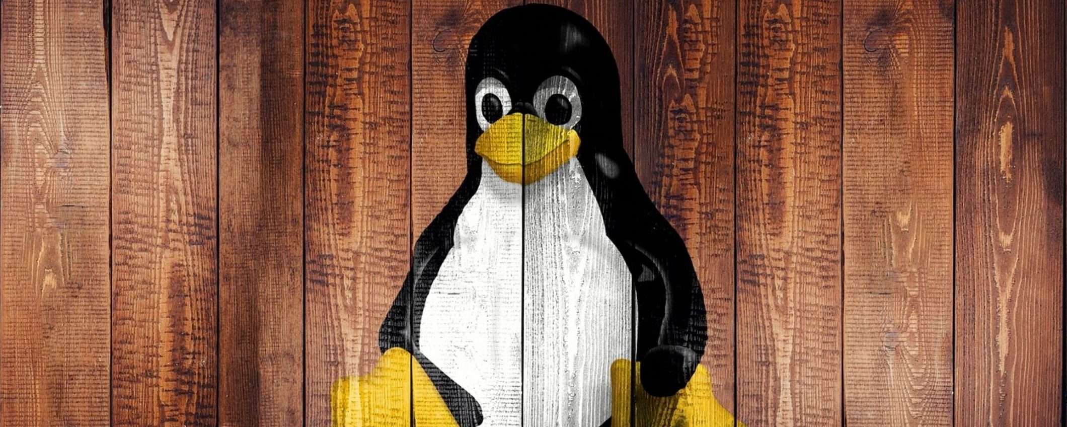 Linux: Linus Torvalds critica lo sviluppo di Bcachefs nel kernel