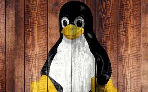 Linux: Linus Torvalds critica lo sviluppo di Bcachefs nel kernel