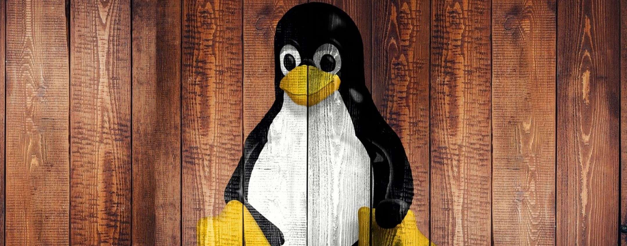 Linux: Linus Torvalds critica lo sviluppo di Bcachefs nel kernel