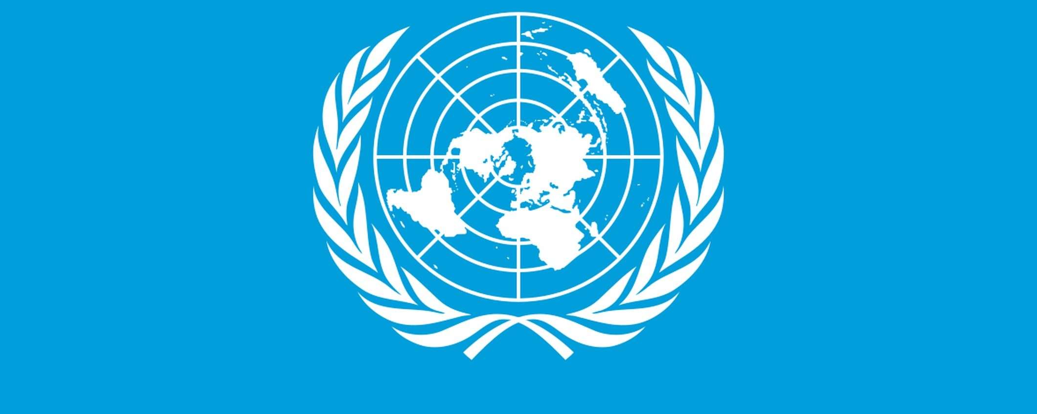 ONU approva prima convenzione contro il cybercrime