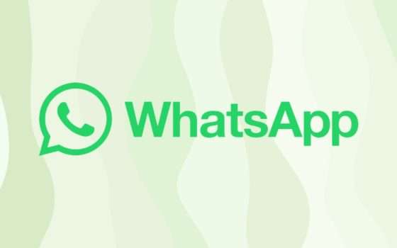 WhatsApp: nomi utenti e PIN per limitare i messaggi di spam