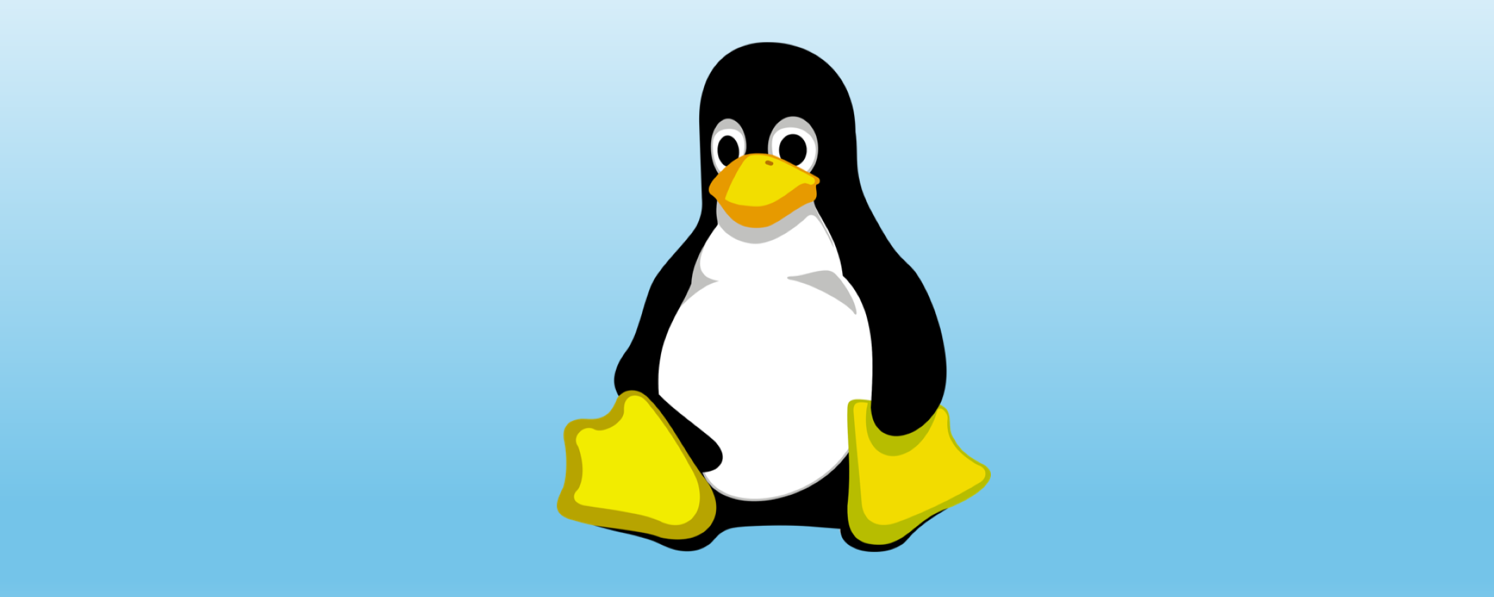 Linux 6.11: kernel rilasciato in via ufficiale