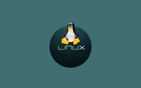 GNU Linux-libre 6.11 ufficiale con adattamenti per Rust