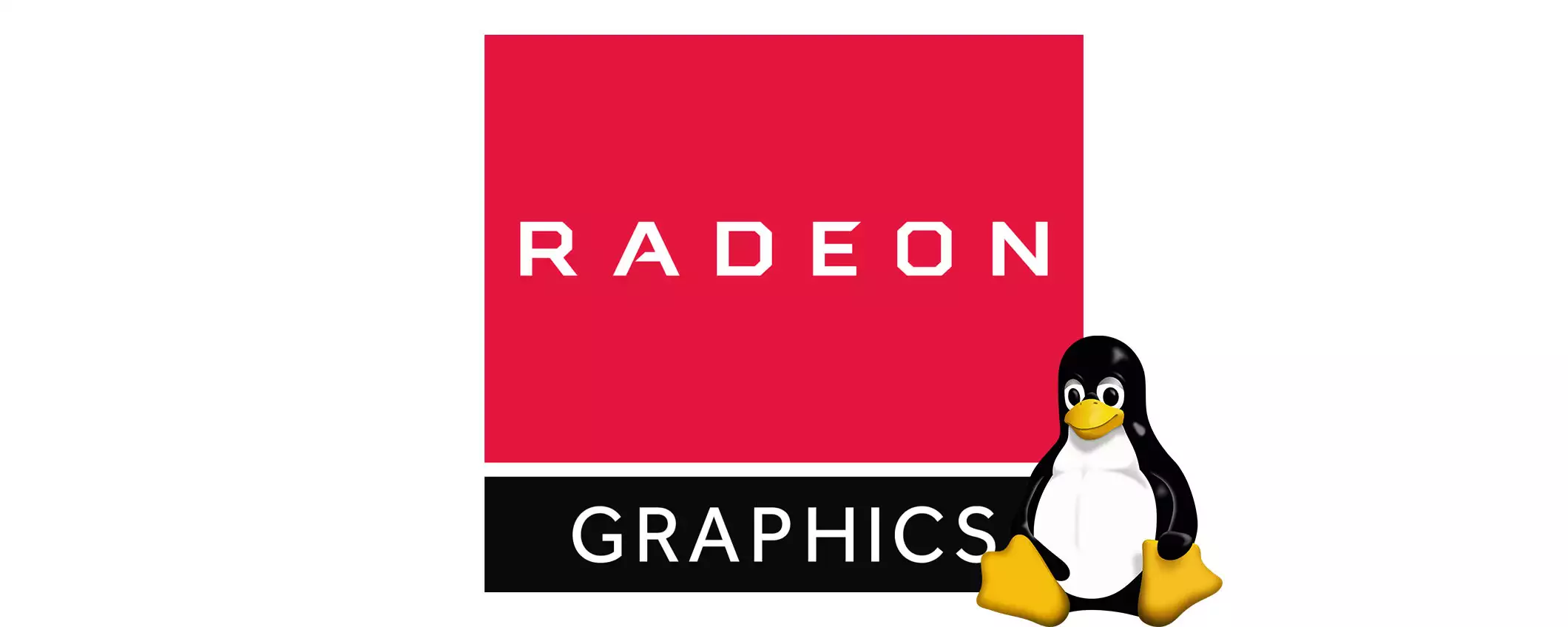 Linux: il driver AMD GPU è troppo grande e causa problemi