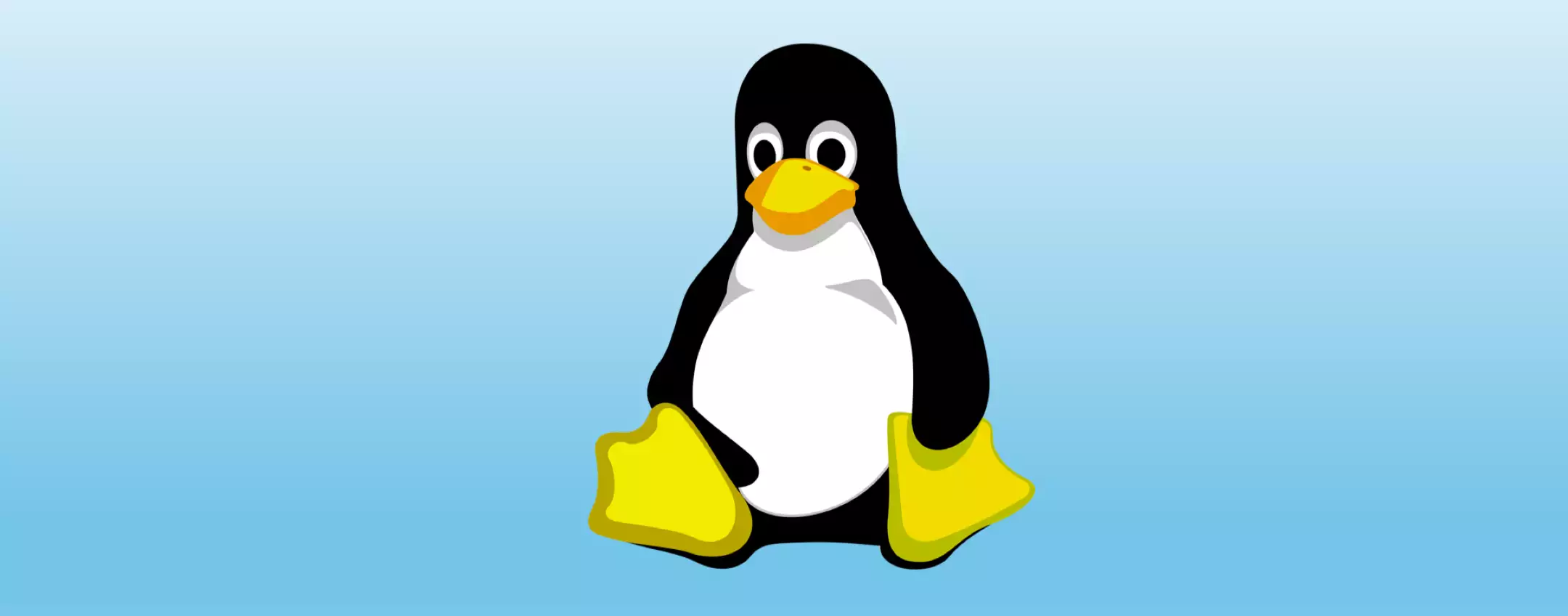 Linux 6.11: kernel rilasciato in via ufficiale