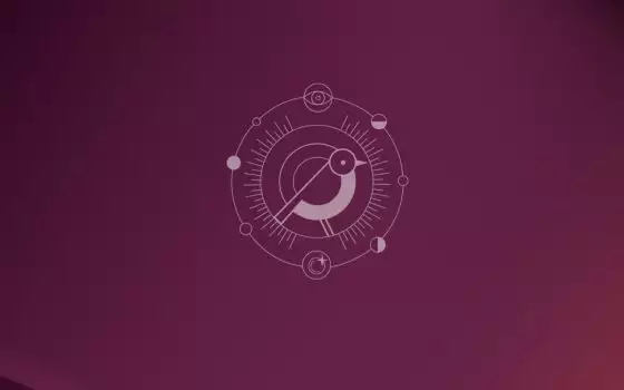 Ubuntu 24.10: svelati sfondo predefinito e grafica della mascotte