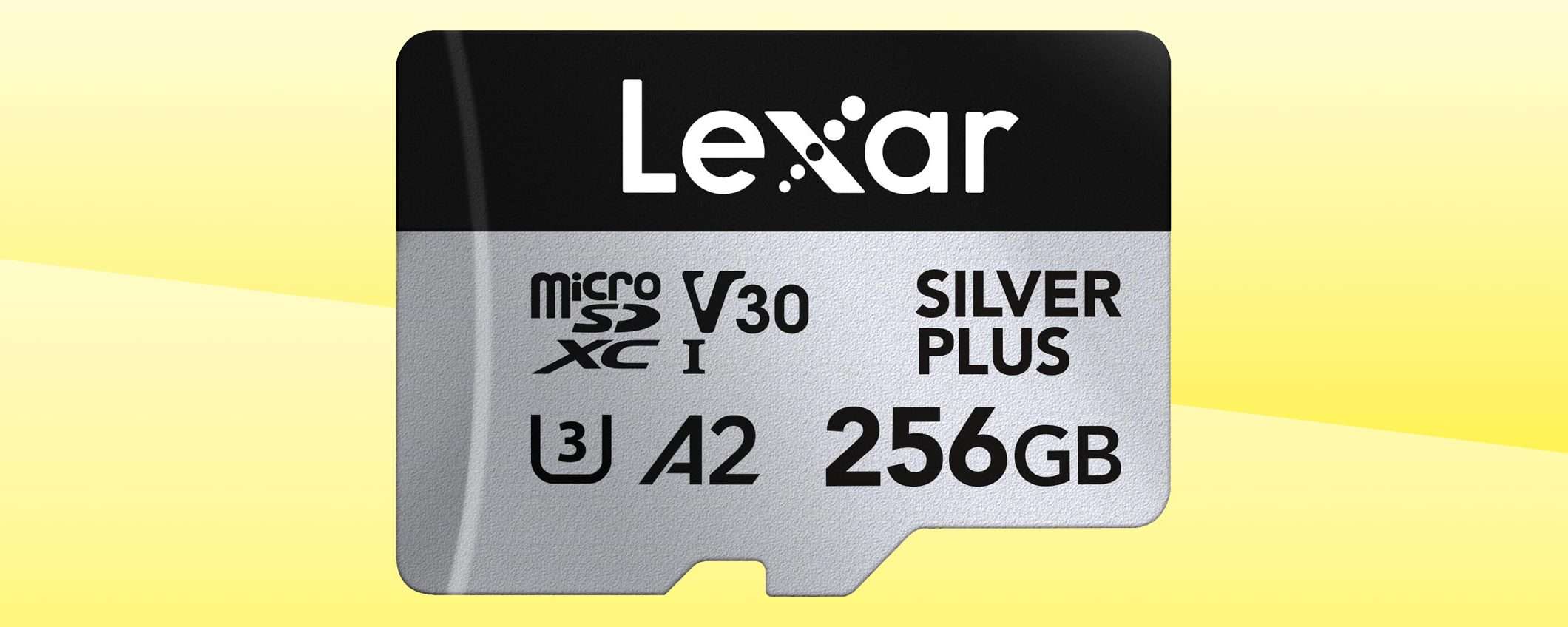 OFFERTA a TEMPO: velocità top per la microSD Lexar da 256 GB