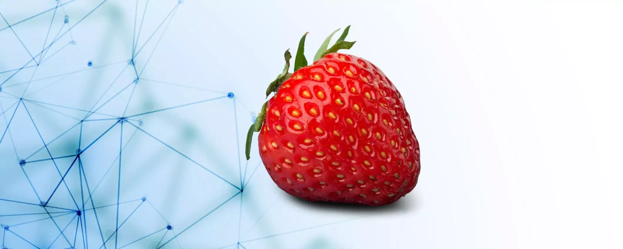 OpenAI: nuovo modello Strawberry in arrivo su ChatGPT