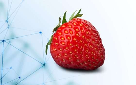 OpenAI: nuovo modello Strawberry in arrivo su ChatGPT