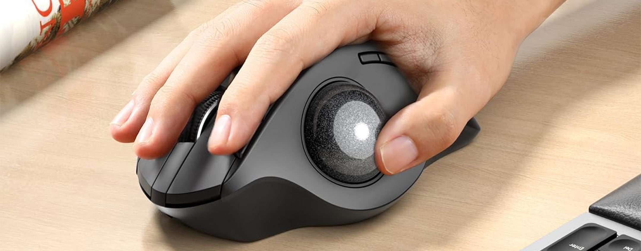 PREZZO MINIMO STORICO per ProtoArc Mouse con trackball