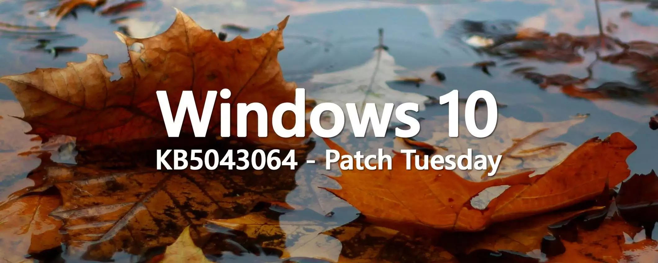 Windows 10 KB5043064, Patch Tuesday: l'update è in download