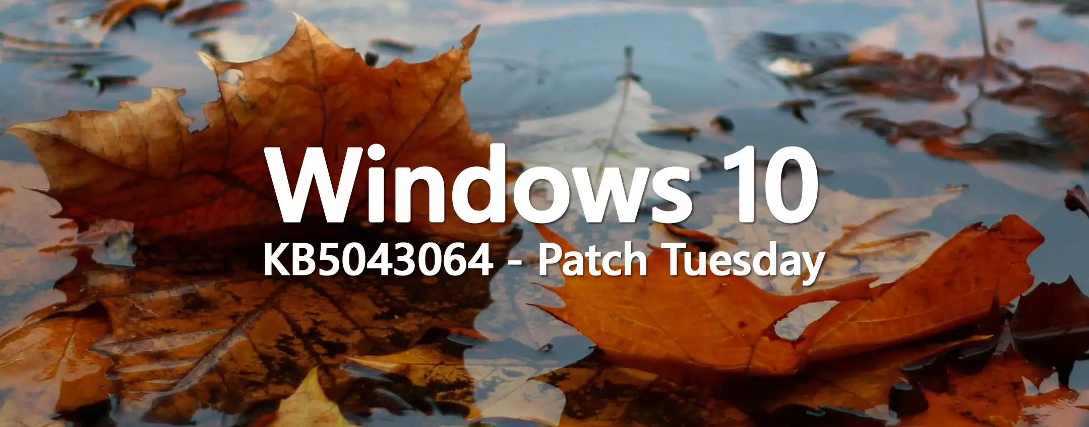 Windows 10 KB5043064, Patch Tuesday: l’update è in download