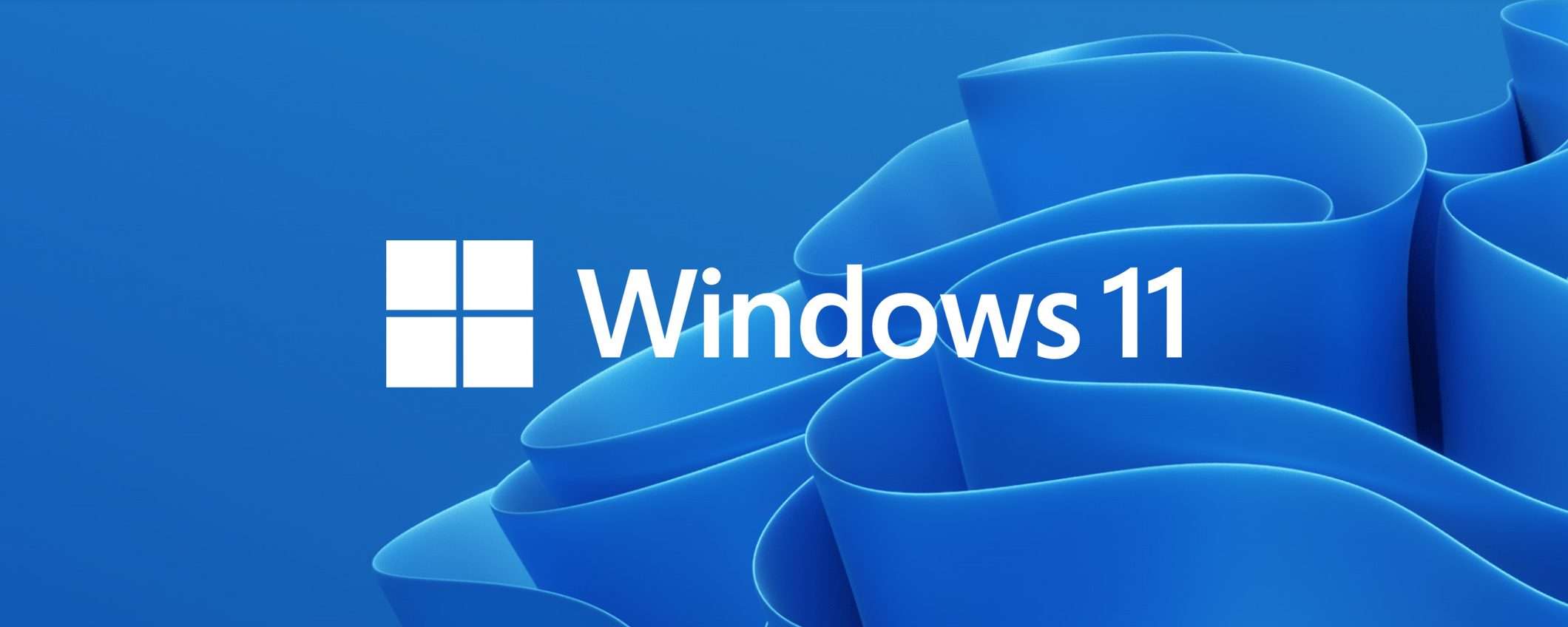 Windows 11: Task Manager mostrerà più informazioni sui dischi