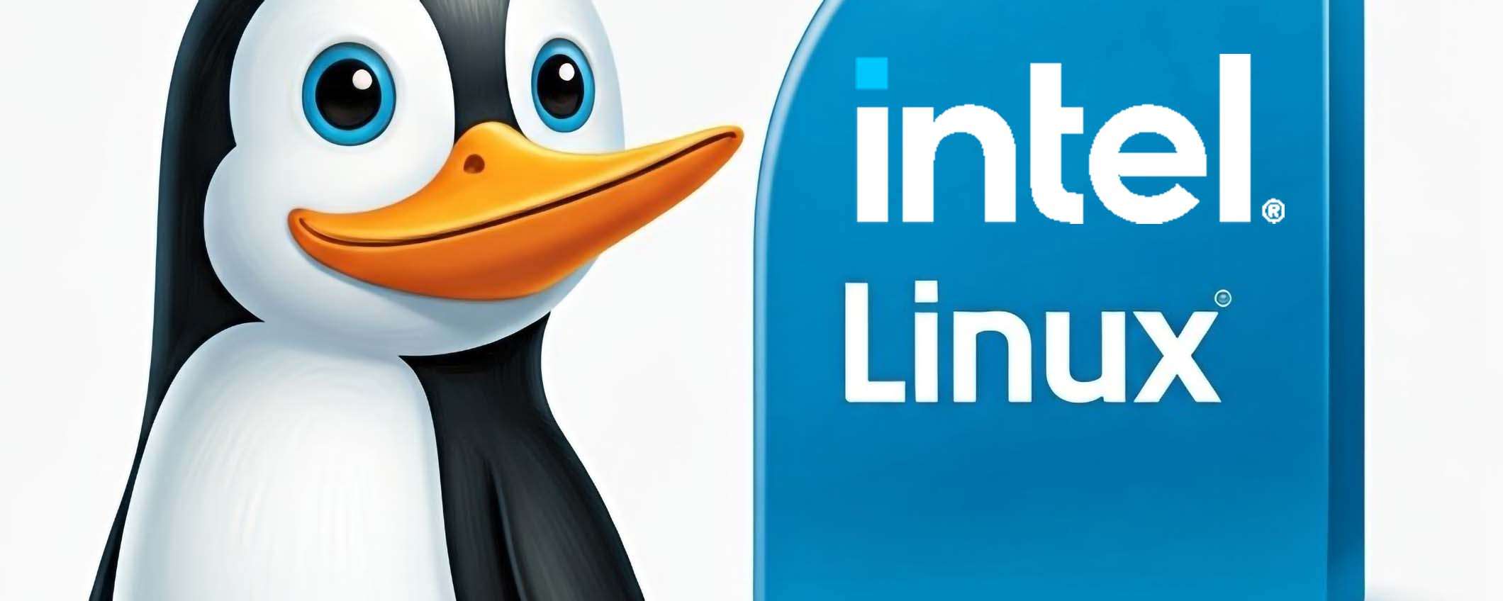 Linux 6.12 RC5: fix per Lunar Lake sui portati ASUS e altro