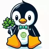 Linux Mint 22.1: anteprima della nuova versione che uscirà a dicembre