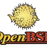 OpenBSD 7.6 introduce il supporto iniziale per Snapdragon X Elite