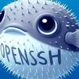 OpenSSH si rinnova con un nuovo codice di autenticazione