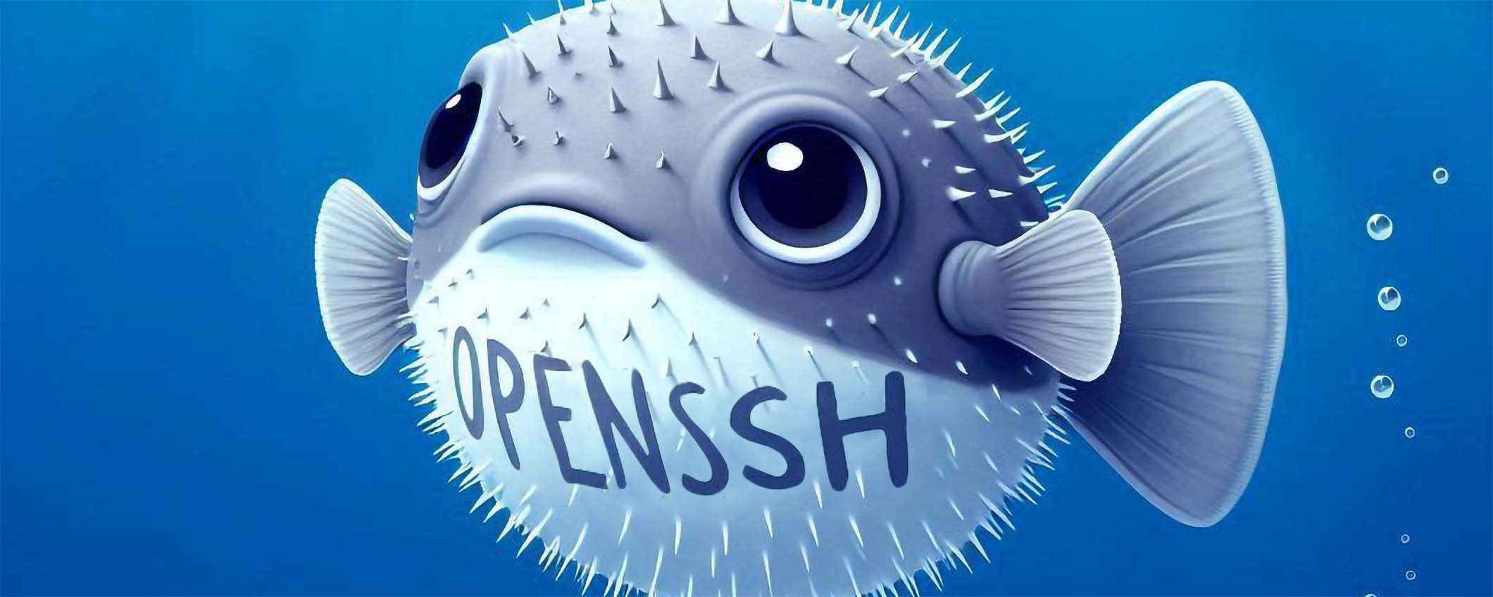 OpenSSH si rinnova con un nuovo codice di autenticazione