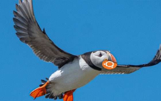 Annunciato Ubuntu 25.04 Plucky Puffin