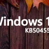 Windows 10 KB5045594 risolve il problema della BSoD