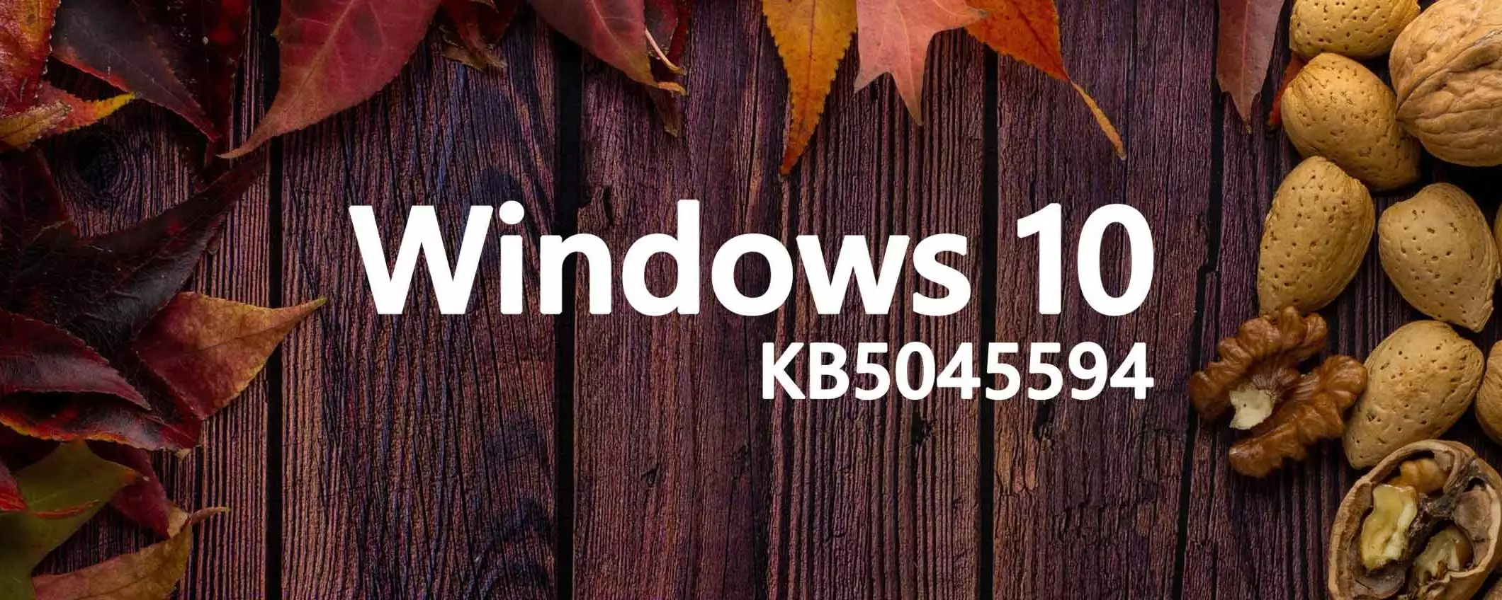 Windows 10 KB5045594 risolve il problema della BSoD