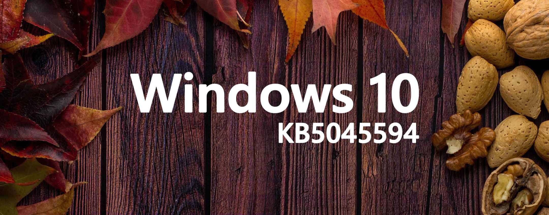 Windows 10 KB5045594 risolve il problema della BSoD