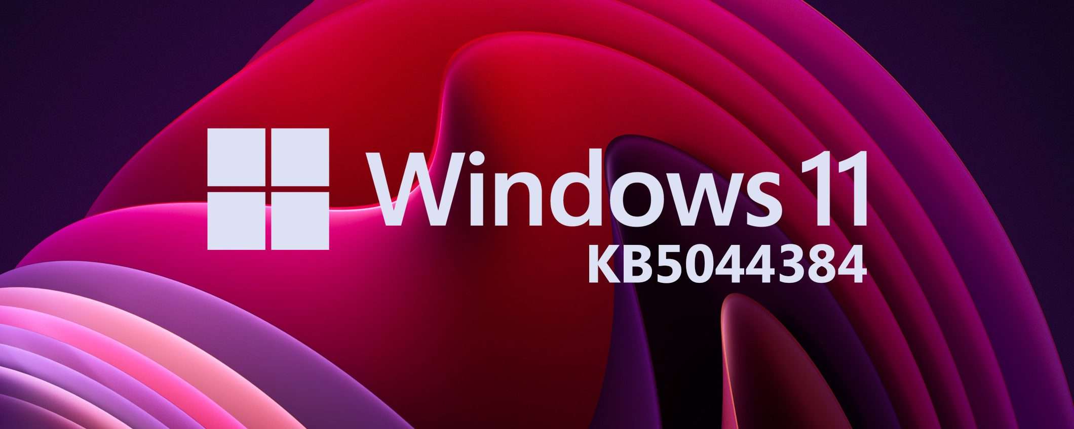 Windows 11 24H2 KB5044384: problemi vari