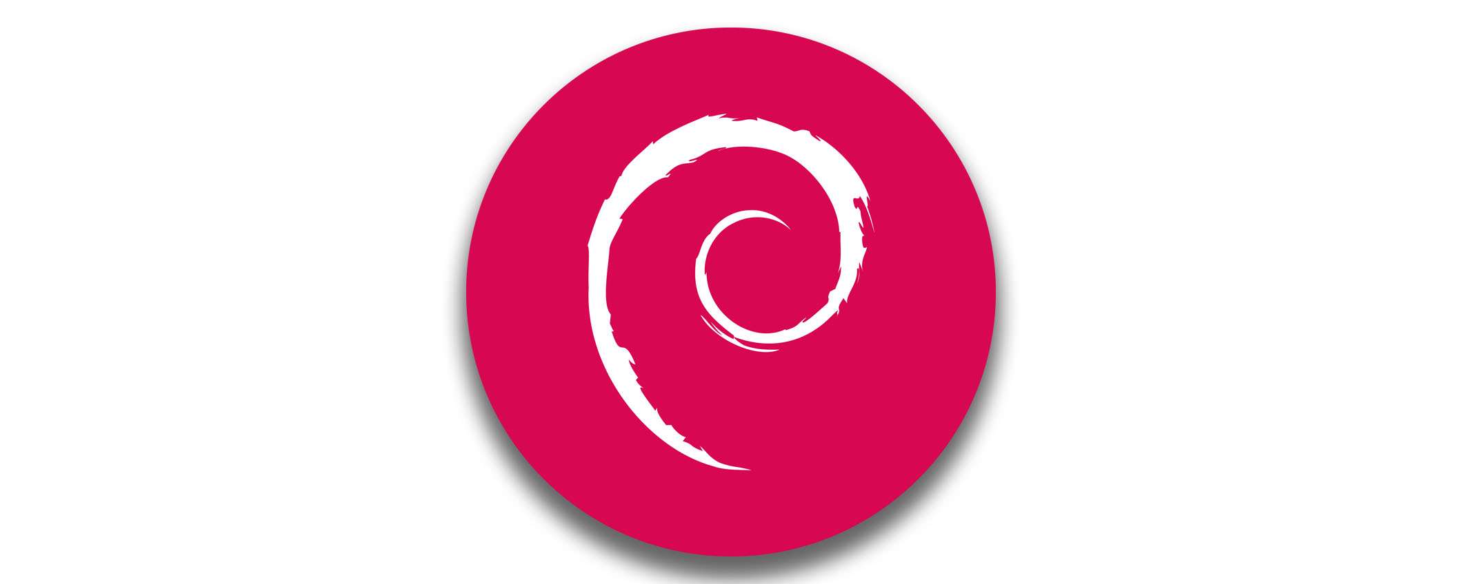 Debian 12.8 si aggiorna con bugfix e 50 aggiornamenti di sicurezza