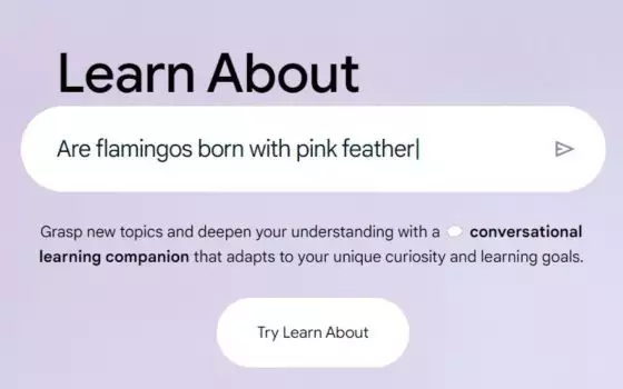 Google lancia Learn About: piattaforma di apprendimento AI
