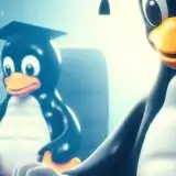 Linux 6.13 introduce nuove astrazioni di file per il linguaggio Rust