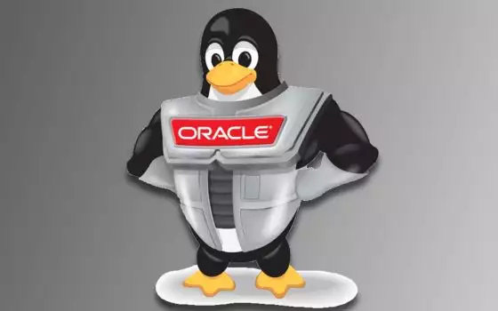 Oracle Linux 9.5 si aggiorna con OpenJDK 17 e .NET 9.0