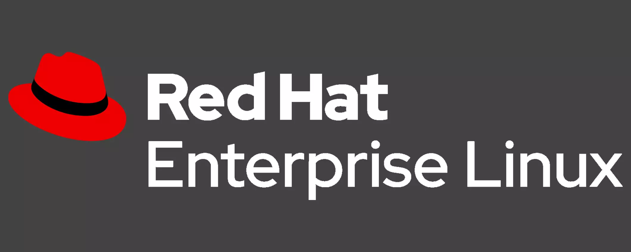 Red Hat Enterprise Linux 9.5: le novità dell'ultimo aggiornamento