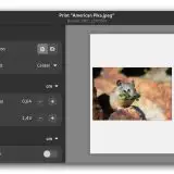 GNOME: il visualizzatore integrato Loupe è ora anche un editor