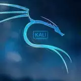 Kali Linux 2024.4: la prima versione a non supportare più il 32-bit