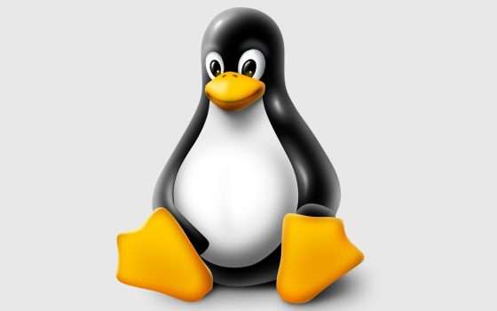 Linux 6.13 RC 2: la seconda release candidate con diverse correzioni