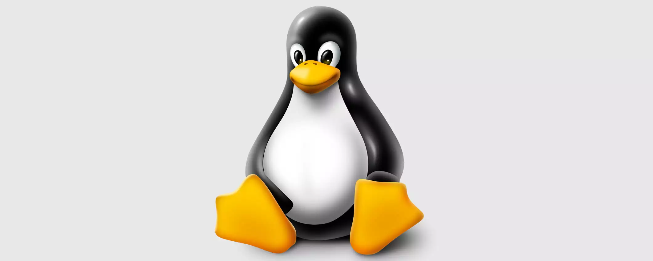 Linux 6.13 RC 2: la seconda release candidate con diverse correzioni