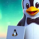 Linux 6.13 disponibile nella sua prima versione release candidate