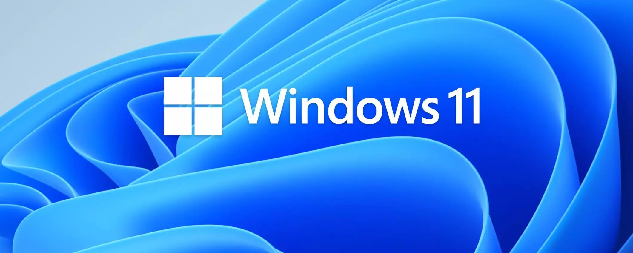 Windows 11: prime build del 2025 per gli Insider