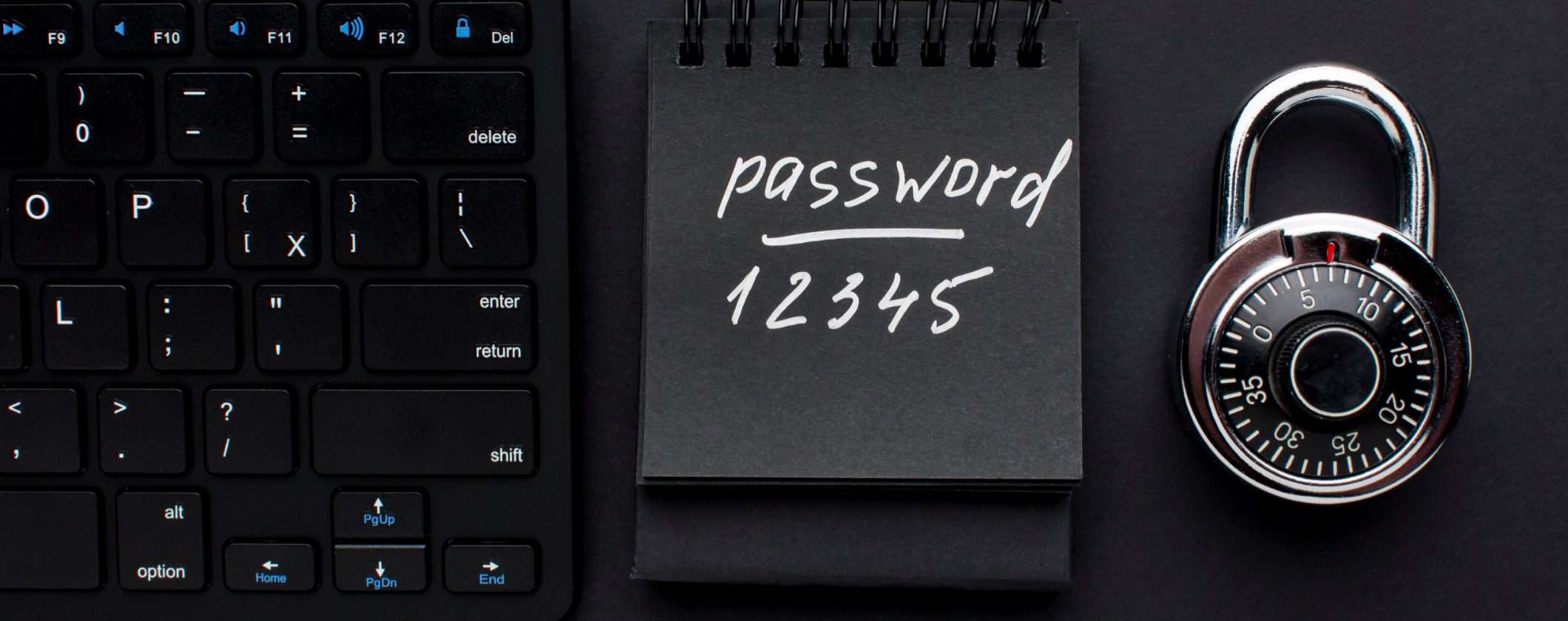 Metti al sicuro le tue Password a Natale con NordPass a -56%