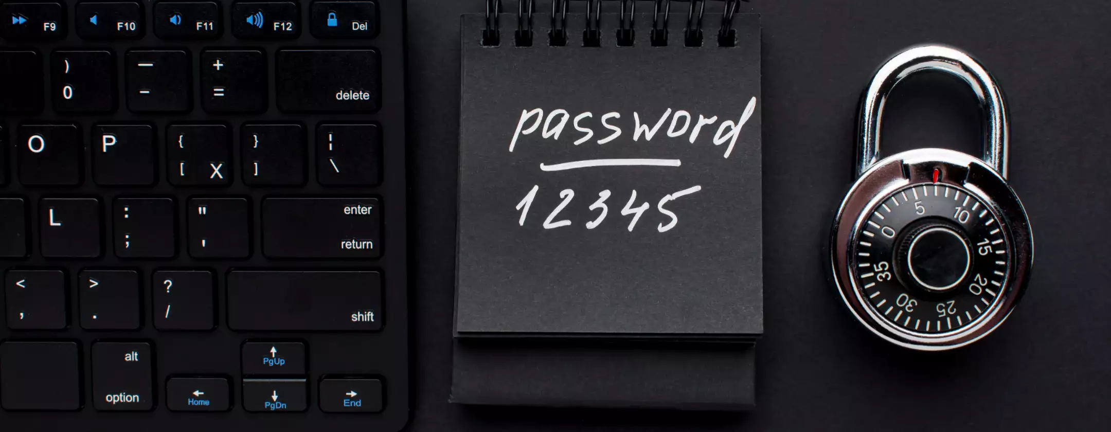 Metti al sicuro le tue Password a Natale con NordPass a -56%