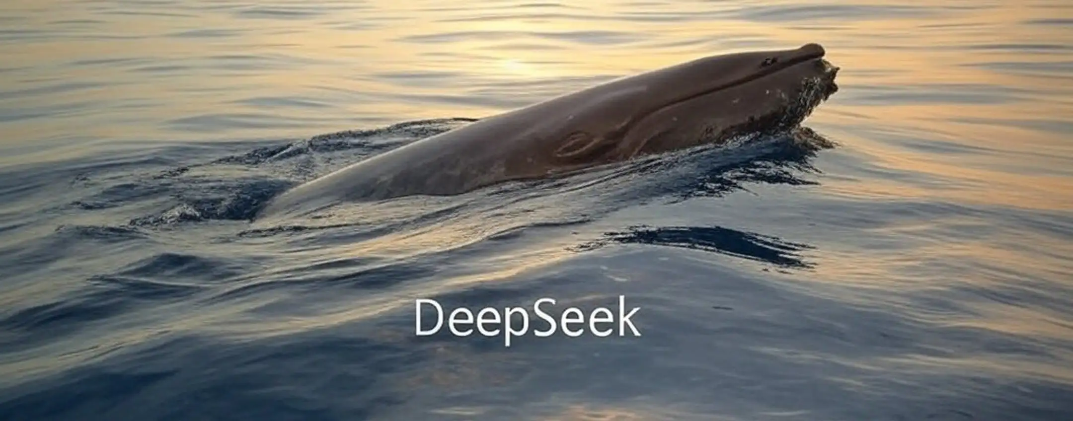 DeepSeek ha usato i dati di OpenAI: ci sono le prove