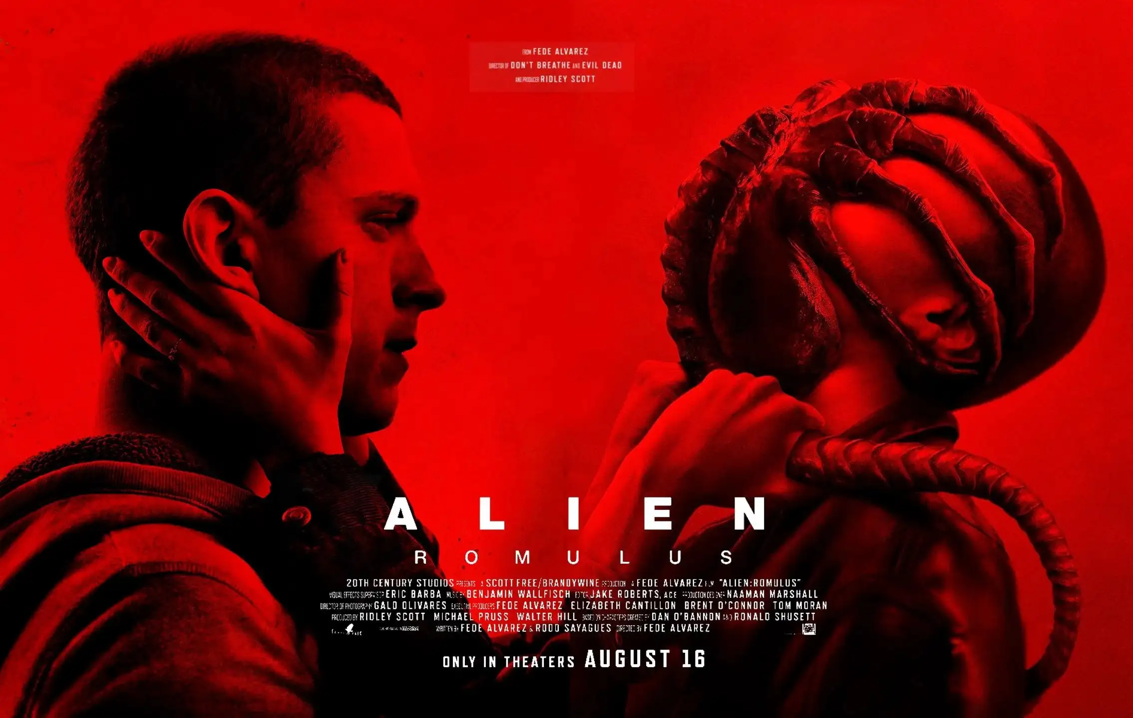 Alien: Romulus, dove vederlo in streaming in Italia