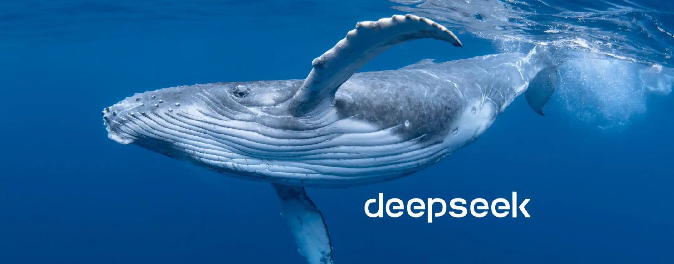 DeepSeek R1, 5 cose da sapere e trucchi per aggirare la censura