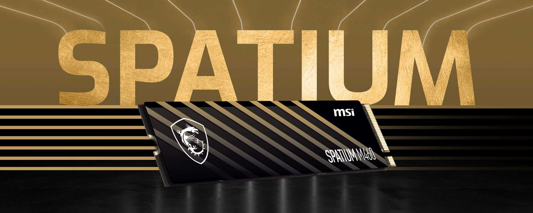 SSD 1 TB: MSI SPATIUM M460 al MINIMO STORICO su Amazon